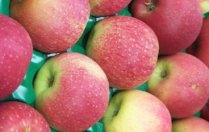 pink lady apples